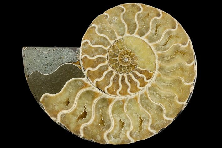 Agatized Ammonite Fossil (Half) - Madagascar #114921